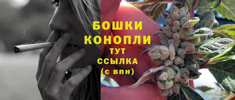 Канабис THC 21%  купить наркоту  Инза 